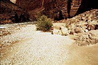 RIGHT - UPSET RAPID (EROSION DETAIL) CC=15. POTENTIAL LOSS OF BEACH BY EROSION.  1975. NPS, BORDEN.