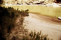 RIGHT - 165.1 MILE. (OUTER) (REJECTED) TAMARISK, PLUCHEA, AND BACCARIS SARATHROIDES INVASION. 1975. NPS, BORDEN.