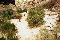 LEFT -  169.9 MILE. CC=10. CAMPING EVIDENT BELOW 24,000 CFS LINE. 1975. NPS, BORDEN.