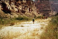 RIGHT - 170.9 MILE. CC=25. PLANT INVASION. LIMITED USAGE. 1975. NPS, BORDEN.
