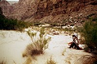 LEFT -  172.8 MILE. CC=40. DIFFICULT ACCESS FROM LANDING DUE TO VEGETATION.1975. NPS, BORDEN.