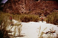 LEFT -  VOLCANIC ASH CLIFF. CC=40. PLUCHEA EVIDENT. 1975. NPS, BORDEN.