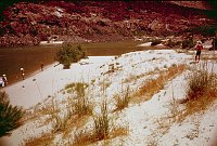 LEFT -  184.6 MILE. CC=40. EXPOSED DUNE BEACH.  1975. NPS, BORDEN.