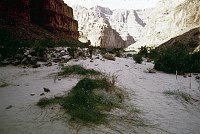 RIGHT - 198.9 MILE. CC=40.LIMITED USAGE. AFTERNOON SHADE. 1975. NPS, BORDEN.