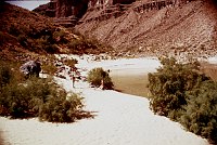 LEFT - PUMPKIN SPRING. CC=40. TWO AJACENT CAMPSITES. 1975. NPS, BORDEN.