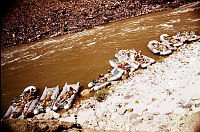 LEFT - 229.0 MILE. (OUTER) REJECTED - TRAVERTINE CANYON. EXCESSIVE USE.  1975. NPS, BORDEN.