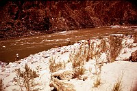 LEFT - 229.0 MILE. (OUTER) REJECTED - TRAVERTINE CANYON. EXCESSIVE USE.  1975. NPS, BORDEN.
