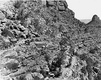 VISITORS RIDING MULES &quotON THE ZIG ZAGS OF THE BRIGHT ANGEL TRAIL." (NEAR 2 MILE CORNER.) CIRCA 1902. NPS, PEABODY. 