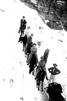 MULE PARTY TOP DOWN 1) JOHN MUIR 2) MS BRANDT 3) JOHN BURROUGHS 4) ? 5) IDA TARBELL<br>01 MAR 1909. KOLB BROS.