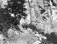 MULE PARTY COMING TOWARDS CAMERA ON A SWITCHBACK IN THE COCONINO SANDSTONE. BRIGHT ANGEL TRAIL. CIRCA 1908. DETROIT PUBLISHING. 