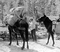 PACK MULE LOADED W/ FULL-SIZED WRINGER TYPE ROUND TUB ELECTRIC WASHING MACHINE. JULY 1967. ERVIN, NPS