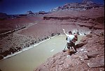 LOOKING UP THE COLORADO AT THE HEAD OF UNKAR RAPID, MILE 72. JULY 1960. NPS, BELKNAP C-19