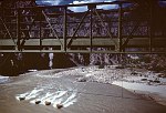 LOOKING  DOWN THE COLORADO FROM THE KAIBAB BRIDGE, MILE 87.5. JULY 1960. NPS,  BELKNAP. C-31 