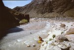 CONFLUENCE, TAPEATS CREEK AND THE COLORADO RIVER, MILE 134. AUG 1963. NPS, BELKNAP C-50
