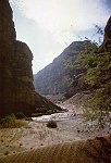 LOOKING UP THE GRAND CANYON FROM THE MOUTH OF KANAB CREEK. KANAB CREEK ENTERS THE PICTURE AT LEFT. 22 AUG 1963. NPS, BELKNAP 87