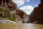 SPRING BETWEEN KANAB CREEK AND HAVASU CREEK. 22 AUG 1963. NPS, BELKNAP 96