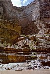 SPRING AT MILE 152, BETWEEN KANAB CREEK AND HAVASU CREEK. 22 AUG 1963. NPS, BELKNAP 104