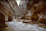 LOOKING UP THE MOUTH OF HAVASU CREEK  DURING A FLASH FLOOD. 22 AUG 1963. NPS, BELKNAP 108