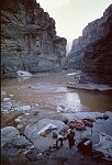 LOOKING UP THE COLORADO FROM THE MOUTH OF HAVASU CREEK, EARLY MORNING, 23 AUG 1963. NPS, BELKNAP 110