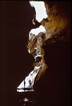 SPRING IN TRAVERTINE CANYON, MILE 229. 28 AUG 1963. NPS, BELKNAP 154