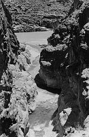 YOU CAN SEE WHAT I MEAN BY SAYING SHINUMO MOUTH IS AN EXCITING SPOT, BUT NO PLACE FOR A SINGLE MAN TO SHIMMY DOWN WITHOUT A ROPE (EVEN IF THERE IS A NICE HOLE AND CAVE DOWN LEFT OF THIS PICTURE.) AREN'T MY CACTUSES CUTE ON THE BRINK? I LOST AND FOUND MY P
