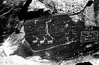 PETROGLYPH PANEL 3 DEER. (PETRIFIED FOREST) REPRODUCED IN DESERT VIEW WATCHTOWER GRCA 15896. CIRCA 1932. COLTER PHOTO. 