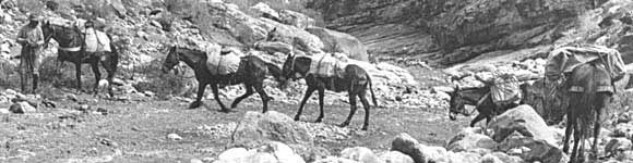 GRCA 20938 - 1902 USGS MAPPING EXPEDITION ON THE WAY TO BREAK THE BRIGHT ANGEL TRAIL