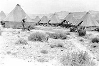 CCC WORK AT RAMPART CAVE: PIERCES FERRY CCC TENT CAMP AREA. IN DESERT. PHOTO BY MICHAEL BOBKO