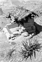 SIDE VIEW: HERMIT SHALE FOSSIL FERN EXHIBIT WITH ORIGINAL THATCH ROOF AT CEDAR RIDGE ON THE S KAIBAB TRAIL. 13 SEP 1937. NPS. 