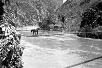 MULE CROSSING FIRST (1921) SWINGING SUSPENSION BRIDGE OVER THE COLORADO RIVER IN GRCA. CIRCA 1927. MATTHES, NPS.