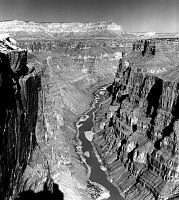 LOOKING EAST DOWN STEEP CLIFFS INTO GORGE AT COLORADO RIVER FROM TOROWEAP OVERLOOK. 22 OCT 1952 NPS PHOTO BY LEDING