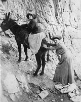 2 WOMEN: ONE SITS ON A MULE, THE 2ND IS TRYING TO PUSH THEM UP THE BRIGHT ANGEL TRAIL. CIRCA 1910. KOLB BROS.