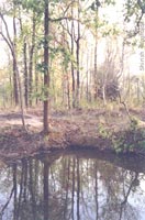 Waterhole