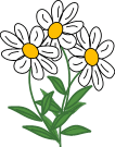 Daisies