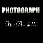www.knopfler.cjb.net