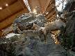 Cabelas