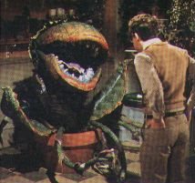 Audrey II 'Feed Me'