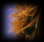 ::giggles:: Static?