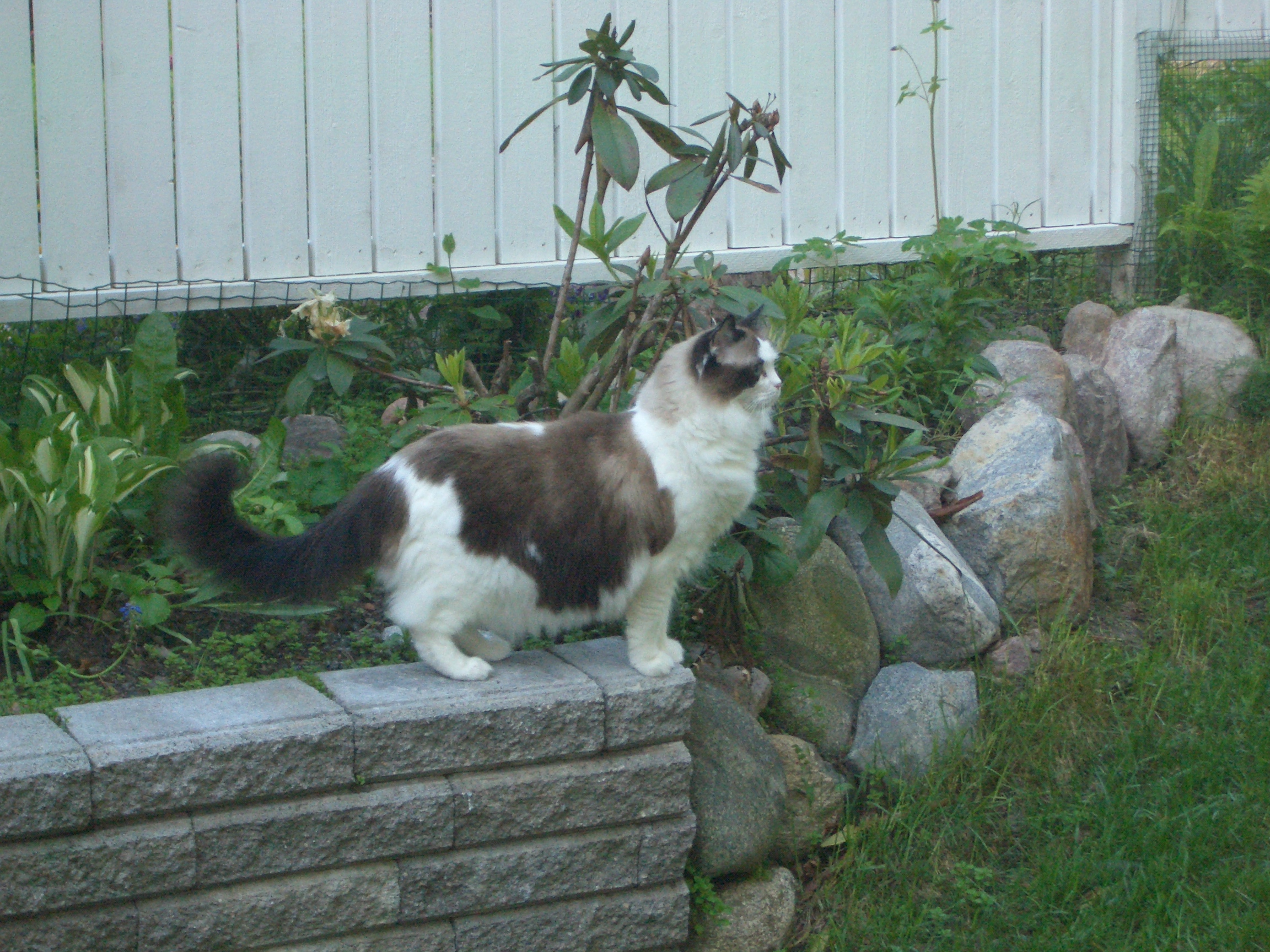  Anni in 2007, photo by T. Liukko