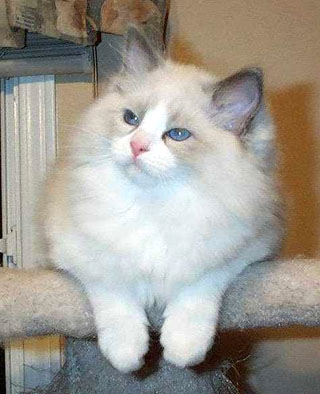 Antonio as a baby