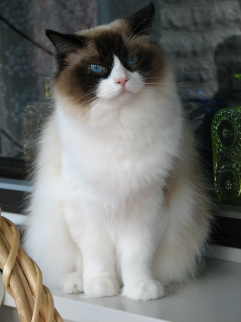  Minni in 2006