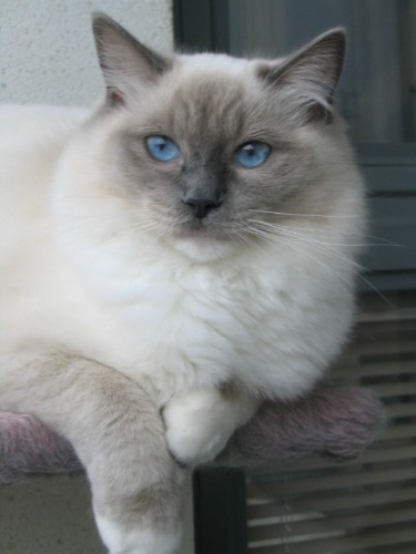 Camilla Josefina at 8 months, photo by P. Kh