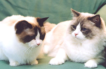 Timya and Antonio in January 2002