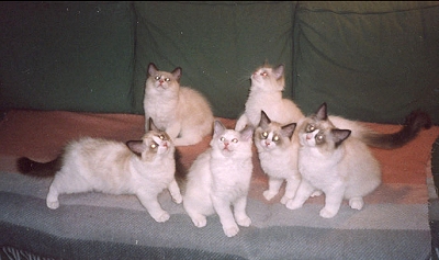 Willy, Aapo, Risto, Hope,
Linda and Emma