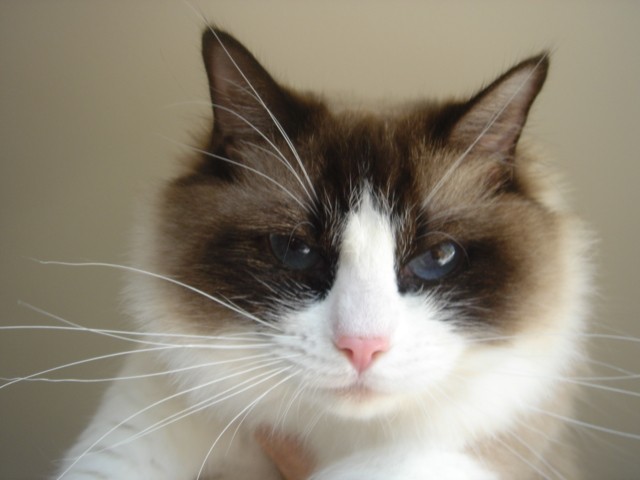  Hope in 2005