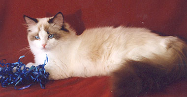 Meisa at 9 months
