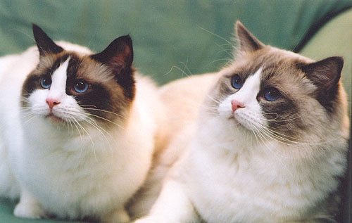 Timya and Antonio in January 2002