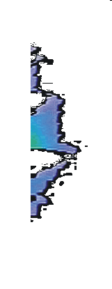 rgzs.gif
