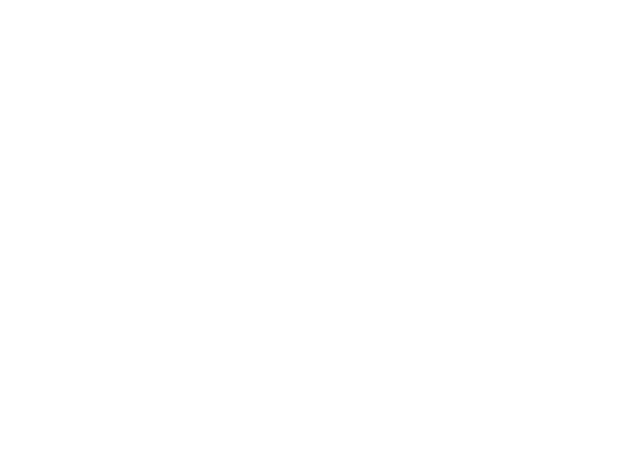 Grafico SCL90 dell�andamento sintomatologico nel Paz. 11