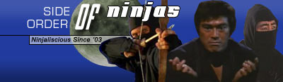 Side Order of Ninjas